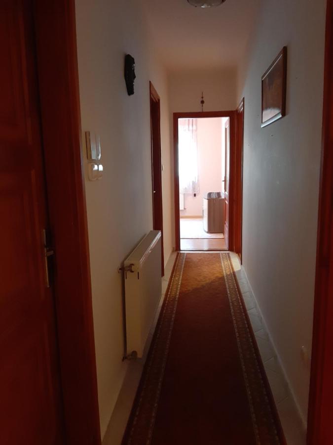 Villa Csilla Elegant House Erd Εξωτερικό φωτογραφία